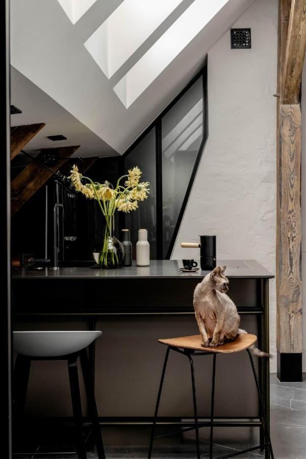 Leilighet Mystictone - Loft In The Heart Of - Nowy Swiat Roomtones